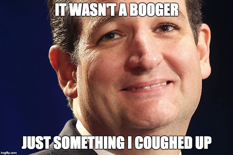 Ted Cruz | IT WASN'T A BOOGER; JUST SOMETHING I COUGHED UP | image tagged in ted cruz | made w/ Imgflip meme maker
