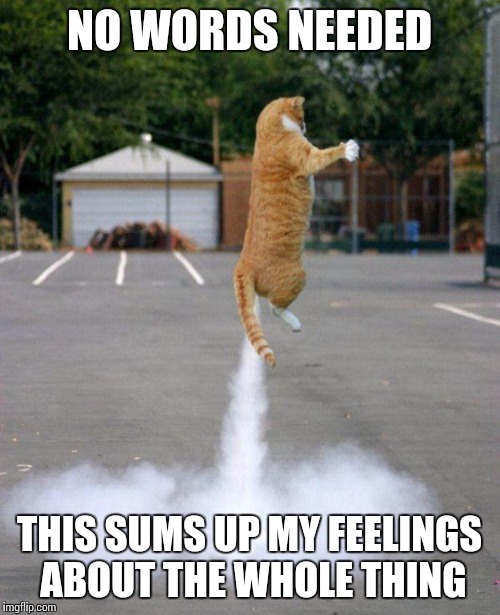 Rocket cat | NO WORDS NEEDED; THIS SUMS UP MY FEELINGS ABOUT THE WHOLE THING | image tagged in rocket cat | made w/ Imgflip meme maker