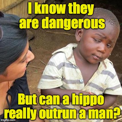 Third World Skeptical Kid Meme | I know they are dangerous But can a hippo really outrun a man? | image tagged in memes,third world skeptical kid | made w/ Imgflip meme maker