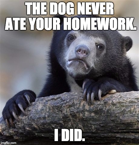 Confession Bear | THE DOG NEVER ATE YOUR HOMEWORK. I DID. | image tagged in memes,confession bear | made w/ Imgflip meme maker
