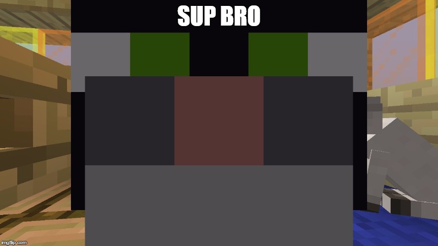 SUP BRO | image tagged in meow | made w/ Imgflip meme maker