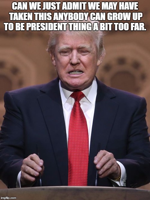 growing up to be president | CAN WE JUST ADMIT WE MAY HAVE TAKEN THIS ANYBODY CAN GROW UP TO BE PRESIDENT THING A BIT TOO FAR. | image tagged in donald trump,president,election | made w/ Imgflip meme maker