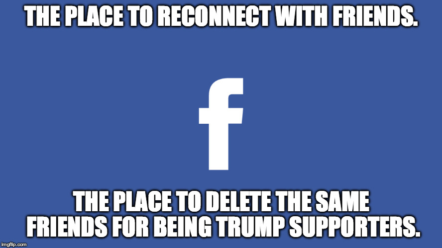 Facebook Connection | THE PLACE TO RECONNECT WITH FRIENDS. THE PLACE TO DELETE THE SAME FRIENDS FOR BEING TRUMP SUPPORTERS. | image tagged in facebook,connect,friends,trump,donald trump,funny | made w/ Imgflip meme maker
