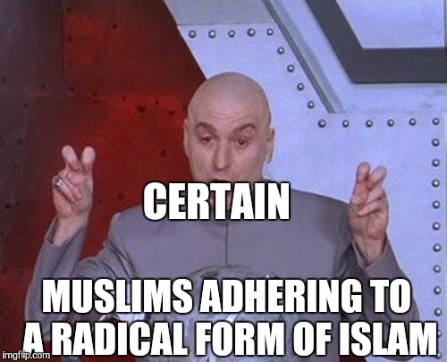 Dr Evil Laser Meme | CERTAIN MUSLIMS ADHERING TO A RADICAL FORM OF ISLAM | image tagged in memes,dr evil laser | made w/ Imgflip meme maker