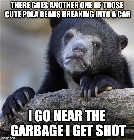 Confession Bear Meme | THERE GOES ANOTHER ONE OF THOSE CUTE POLA BEARS BREAKING INTO A CAR I GO NEAR THE GARBAGE I GET SHOT | image tagged in memes,confession bear | made w/ Imgflip meme maker