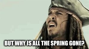 BUT WHY IS ALL THE SPRING GONE? | image tagged in spring | made w/ Imgflip meme maker