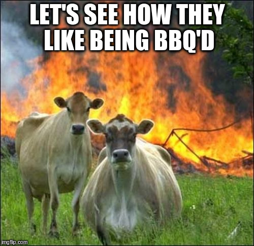 animals having a cook out | LET'S SEE HOW THEY LIKE BEING BBQ'D | image tagged in evil cows,bbq humans,bbq | made w/ Imgflip meme maker