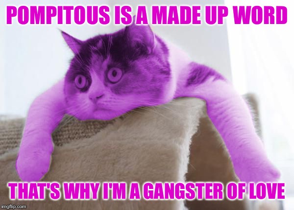 RayCat Stare | POMPITOUS IS A MADE UP WORD THAT'S WHY I'M A GANGSTER OF LOVE | image tagged in raycat stare | made w/ Imgflip meme maker