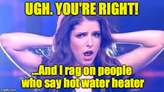 I don't believe it Anna | UGH. YOU'RE RIGHT! ...And I rag on people who say hot water heater | image tagged in i don't believe it anna | made w/ Imgflip meme maker