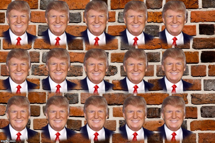 The Wall Of Trump | image tagged in memes,donald trump,wall | made w/ Imgflip meme maker