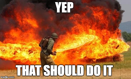 Nope flamethrower | YEP; THAT SHOULD DO IT | image tagged in nope flamethrower | made w/ Imgflip meme maker