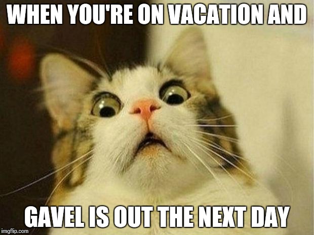 Scared Cat Meme | WHEN YOU'RE ON VACATION AND; GAVEL IS OUT THE NEXT DAY | image tagged in memes,scared cat | made w/ Imgflip meme maker