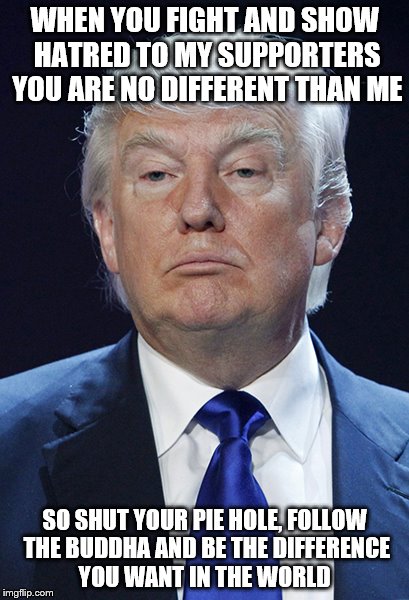 Donald Trump | WHEN YOU FIGHT AND SHOW HATRED TO MY SUPPORTERS YOU ARE NO DIFFERENT THAN ME; SO SHUT YOUR PIE HOLE, FOLLOW THE BUDDHA AND BE THE DIFFERENCE YOU WANT IN THE WORLD | image tagged in donald trump | made w/ Imgflip meme maker