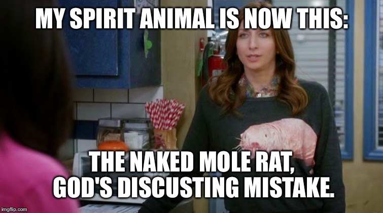 Gina Linetti | MY SPIRIT ANIMAL IS NOW THIS:; THE NAKED MOLE RAT, GOD'S DISCUSTING MISTAKE. | image tagged in brooklyn nine nine | made w/ Imgflip meme maker