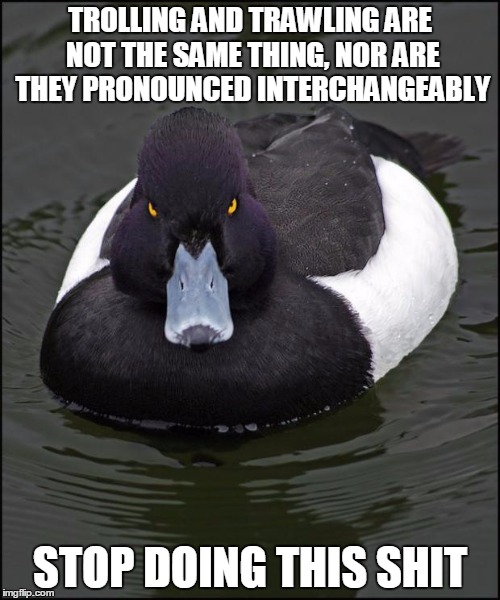 hi res angry advice mallard | TROLLING AND TRAWLING ARE NOT THE SAME THING, NOR ARE THEY PRONOUNCED INTERCHANGEABLY; STOP DOING THIS SHIT | image tagged in hi res angry advice mallard | made w/ Imgflip meme maker