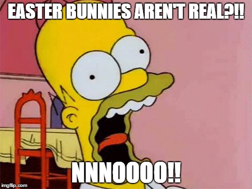 Homer Screaming | EASTER BUNNIES AREN'T REAL?!! NNNOOOO!! | image tagged in homer screaming,happy easter,memes,first world problems | made w/ Imgflip meme maker