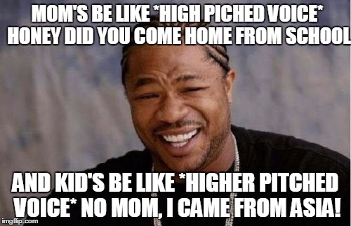 Yo Dawg Heard You | MOM'S BE LIKE
*HIGH PICHED VOICE* HONEY DID YOU COME HOME FROM SCHOOL; AND KID'S BE LIKE
*HIGHER PITCHED VOICE* NO MOM, I CAME FROM ASIA! | image tagged in memes,yo dawg heard you | made w/ Imgflip meme maker