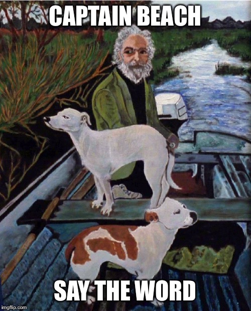 CAPTAIN BEACH; SAY THE WORD | made w/ Imgflip meme maker