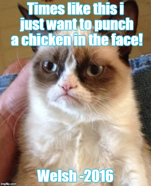 Grumpy Cat Meme | Times like this i just want to punch a chicken in the face! Welsh -2016 | image tagged in memes,grumpy cat | made w/ Imgflip meme maker