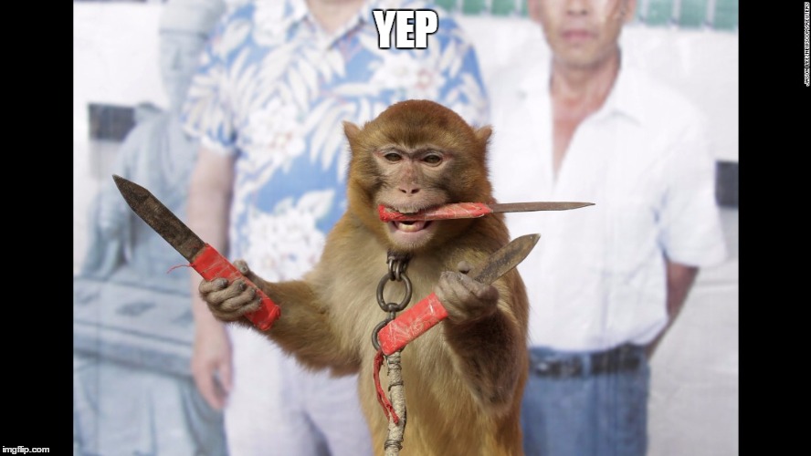 Monkey with Knives | YEP | image tagged in monkey with knives | made w/ Imgflip meme maker
