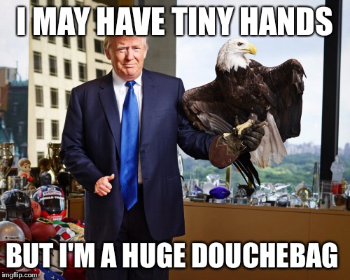 I MAY HAVE TINY HANDS; BUT I'M A HUGE DOUCHEBAG | image tagged in tiny hand trump | made w/ Imgflip meme maker