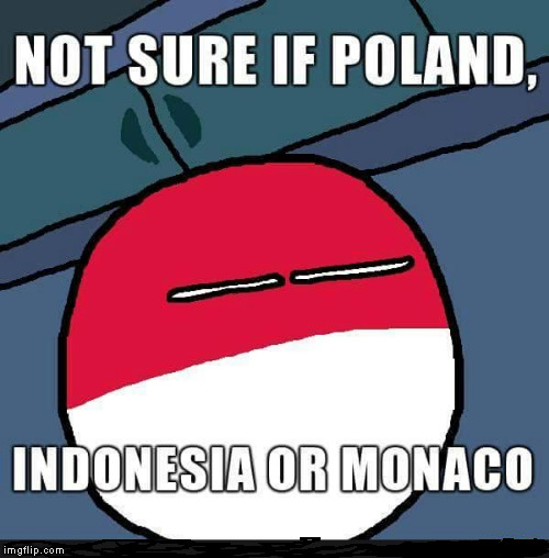 Futurama Fry Polandball Edition | NOT SURE IF POLAND, INDONISHIA OR MONACO | image tagged in futurama fry,polandball,poland,indonisia,monaco,funny | made w/ Imgflip meme maker