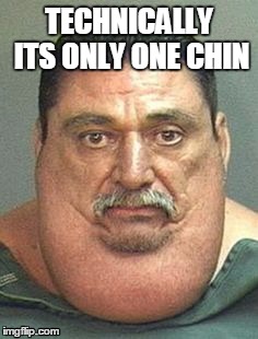 TECHNICALLY
 ITS ONLY ONE CHIN | image tagged in double chin,funny memes | made w/ Imgflip meme maker