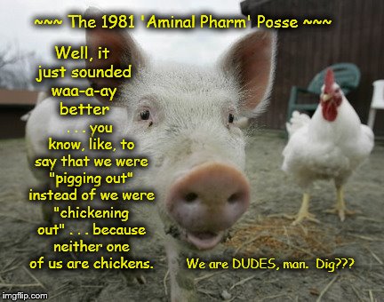 Male bonding . . . | Well, it just sounded waa-a-ay better; ~~~ The 1981 'Aminal Pharm' Posse ~~~; . . . you know, like, to say that we were "pigging out" instead of we were "chickening out" . . . because neither one of us are chickens. We are DUDES, man.  Dig??? | image tagged in memes,farm humor,barnyard,just sayin' | made w/ Imgflip meme maker