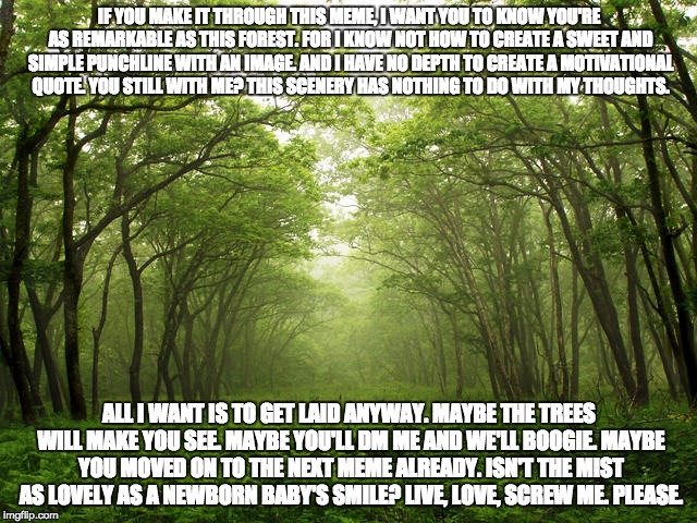 Meandering Meme | IF YOU MAKE IT THROUGH THIS MEME, I WANT YOU TO KNOW YOU'RE AS REMARKABLE AS THIS FOREST. FOR I KNOW NOT HOW TO CREATE A SWEET AND SIMPLE PUNCHLINE WITH AN IMAGE. AND I HAVE NO DEPTH TO CREATE A MOTIVATIONAL QUOTE. YOU STILL WITH ME? THIS SCENERY HAS NOTHING TO DO WITH MY THOUGHTS. ALL I WANT IS TO GET LAID ANYWAY. MAYBE THE TREES WILL MAKE YOU SEE. MAYBE YOU'LL DM ME AND WE'LL BOOGIE. MAYBE YOU MOVED ON TO THE NEXT MEME ALREADY. ISN'T THE MIST AS LOVELY AS A NEWBORN BABY'S SMILE? LIVE, LOVE, SCREW ME. PLEASE. | image tagged in memes,funny,satire,motivation,demotivationals | made w/ Imgflip meme maker