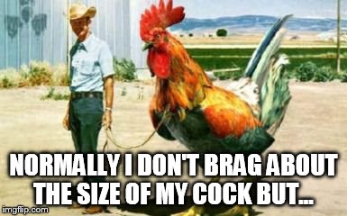 I don't like to brag but | NORMALLY I DON'T BRAG ABOUT THE SIZE OF MY COCK BUT... | image tagged in rooster | made w/ Imgflip meme maker
