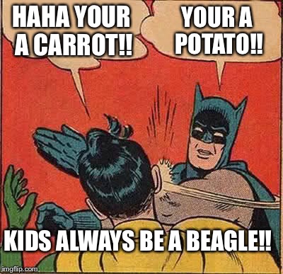 Batman Slapping Robin Meme | HAHA YOUR A CARROT!! YOUR A POTATO!! KIDS ALWAYS BE A BEAGLE!! | image tagged in memes,batman slapping robin | made w/ Imgflip meme maker