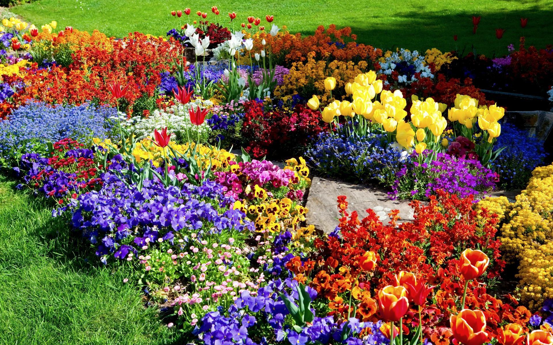 Image result for flower garden