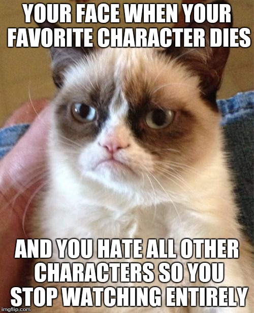 Grumpy Cat Meme | YOUR FACE WHEN YOUR FAVORITE CHARACTER DIES; AND YOU HATE ALL OTHER CHARACTERS SO YOU STOP WATCHING ENTIRELY | image tagged in memes,grumpy cat | made w/ Imgflip meme maker
