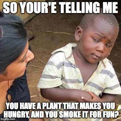 every time it's 4:20, a hungry kid in Africa dies... and a stoner gets the case of the munchies | SO YOUR'E TELLING ME; YOU HAVE A PLANT THAT MAKES YOU HUNGRY, AND YOU SMOKE IT FOR FUN? | image tagged in memes,third world skeptical kid,weed,hungry,drugs | made w/ Imgflip meme maker