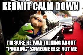 KERMIT CALM DOWN I'M SURE HE WAS TALKING ABOUT "PORKING" SOMEONE ELSE NOT ME | made w/ Imgflip meme maker