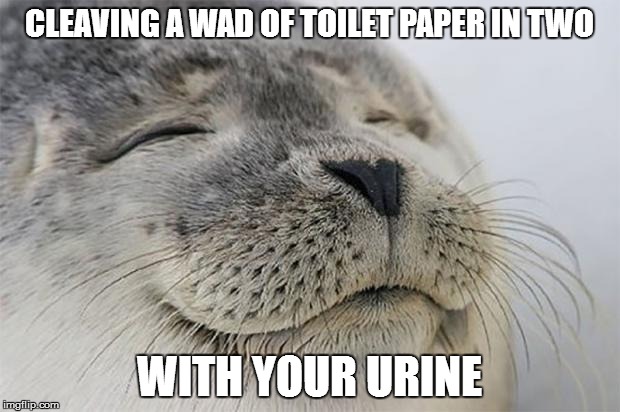 Satisfied Seal | CLEAVING A WAD OF TOILET PAPER IN TWO; WITH YOUR URINE | image tagged in memes,satisfied seal | made w/ Imgflip meme maker