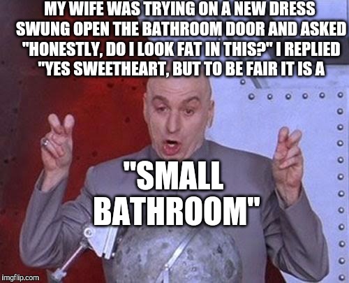 Dr Evil Laser Meme | MY WIFE WAS TRYING ON A NEW DRESS SWUNG OPEN THE BATHROOM DOOR AND ASKED "HONESTLY, DO I LOOK FAT IN THIS?" I REPLIED "YES SWEETHEART, BUT TO BE FAIR IT IS A; "SMALL BATHROOM" | image tagged in memes,dr evil laser | made w/ Imgflip meme maker