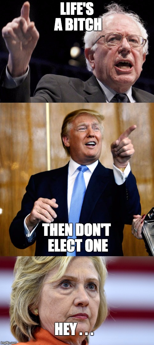 LIFE'S A BITCH; THEN DON'T ELECT ONE; HEY . . . | image tagged in trump,hillary,bernie,bitch | made w/ Imgflip meme maker