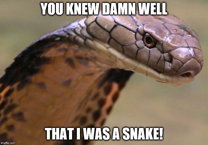 YOU KNEW DAMN WELL; THAT I WAS A SNAKE! | image tagged in trumpsnakememe | made w/ Imgflip meme maker