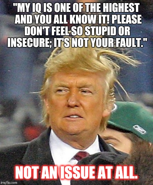 Donald Trumph hair | "MY IQ IS ONE OF THE HIGHEST  AND YOU ALL KNOW IT! PLEASE DON'T FEEL SO STUPID OR INSECURE; IT'S NOT YOUR FAULT."; NOT AN ISSUE AT ALL. | image tagged in donald trumph hair | made w/ Imgflip meme maker