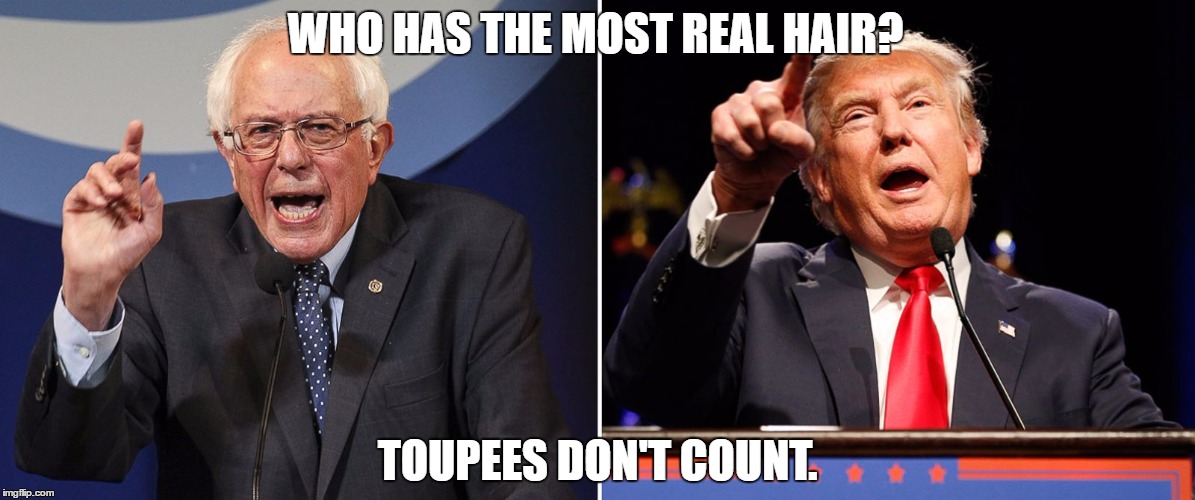 No Toupees Aloud Trump. | WHO HAS THE MOST REAL HAIR? TOUPEES DON'T COUNT. | image tagged in donald trump,toupees,bernie sanders,donald trumph hair,hair | made w/ Imgflip meme maker