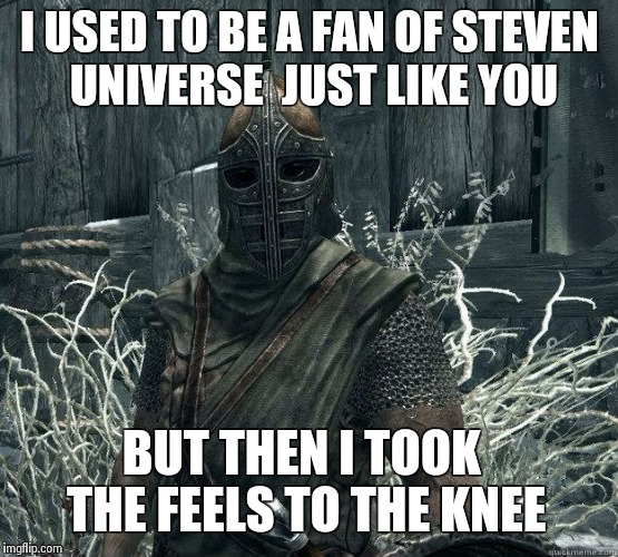 SkyrimGuard | I USED TO BE A FAN OF STEVEN UNIVERSE  JUST LIKE YOU; BUT THEN I TOOK THE FEELS TO THE KNEE | image tagged in skyrimguard | made w/ Imgflip meme maker