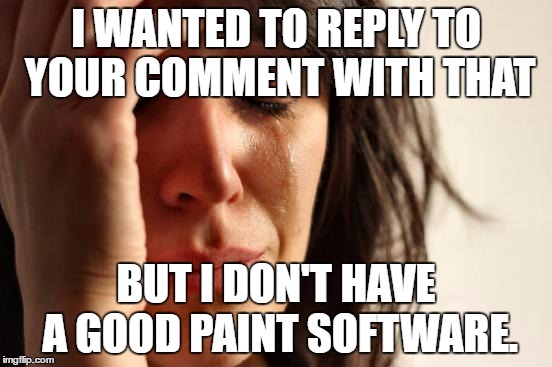 First World Problems Meme | I WANTED TO REPLY TO YOUR COMMENT WITH THAT BUT I DON'T HAVE A GOOD PAINT SOFTWARE. | image tagged in memes,first world problems | made w/ Imgflip meme maker