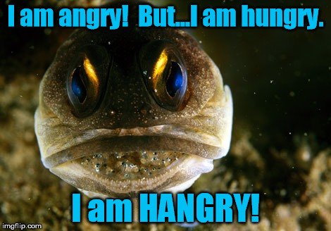 Fishing off of the Portmanteau | I am angry!  But...I am hungry. I am HANGRY! | image tagged in hangry,angry,fish | made w/ Imgflip meme maker