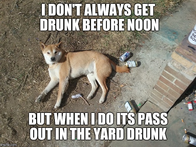 I DON'T ALWAYS GET DRUNK BEFORE NOON; BUT WHEN I DO ITS PASS OUT IN THE YARD DRUNK | image tagged in drunk dog | made w/ Imgflip meme maker