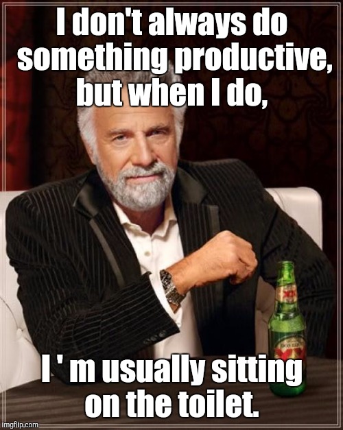 The Most Interesting Man In The World Meme | I don't always do something productive, but when I do, I ' m usually sitting on the toilet. | image tagged in memes,the most interesting man in the world | made w/ Imgflip meme maker