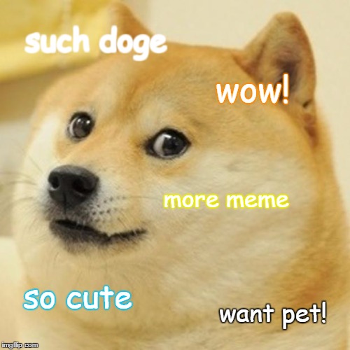 This is orginaly a doge | such doge; wow! more meme; so cute; want pet! | image tagged in doge,meme,funny | made w/ Imgflip meme maker