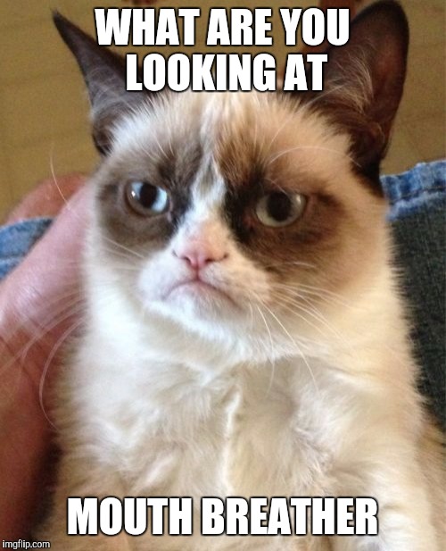 Grumpy Cat Meme | WHAT ARE YOU LOOKING AT; MOUTH BREATHER | image tagged in memes,grumpy cat | made w/ Imgflip meme maker