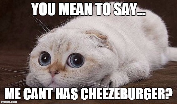 i c h c | YOU MEAN TO SAY... ME CANT HAS CHEEZEBURGER? | image tagged in the most interesting man in the world | made w/ Imgflip meme maker