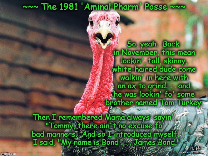 Mama Knows Best . . . | So, yeah.  Back in November, this mean lookin', tall, skinny, white-haired dude come walkin' in here with an ax to grind. . . and he was lookin' fo' some brother named Tom Turkey. ~~~ The 1981 'Aminal Pharm' Posse ~~~; Then I remembered Mama always  sayin', "Tommy, there ain't no excuse fo' bad manners.  And so I introduced myself.  I said, "My name is Bond . . . James Bond." | image tagged in memes,barnyard humor,thanksgiving snickers,talk turkey | made w/ Imgflip meme maker